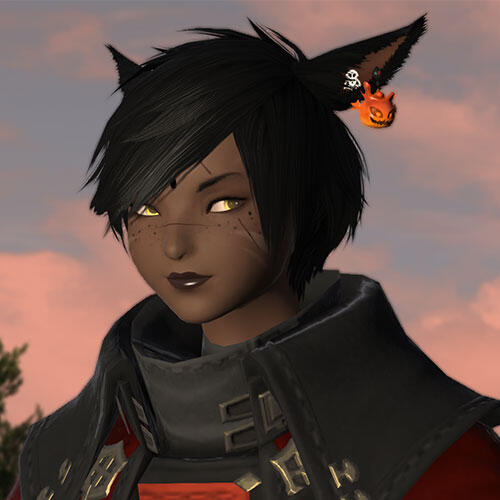 Captain Rinh Panipahr